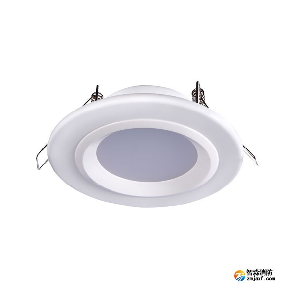山东海湾HW-ZFJC-E6W-N621集中电源集中控制型消防应急照明灯具