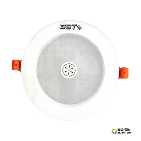 山东海湾HW-ZFJC-E6W-N651SG集中电源集中控制型消防应急照明灯具