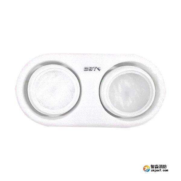 山东海湾HW-ZFJC-E3W-YN663集中电源集中控制型消防应急照明灯具（3W双头灯）